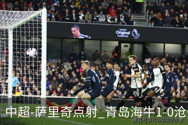 中超-萨里奇点射 青岛海牛1-0沧州雄狮携手保级