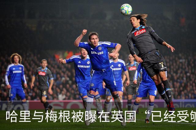 哈里与梅根被曝在英国“已经受够了”，坦言想念美国加州的“家”